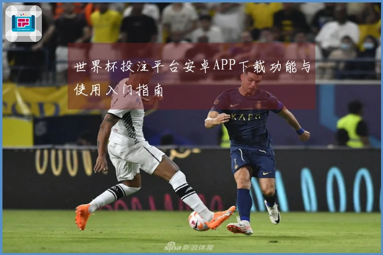世界杯投注平台安卓APP下载功能与使用入门指南