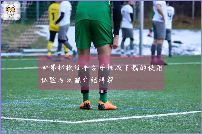 世界杯投注平台手机版下载的使用体验与功能介绍详解