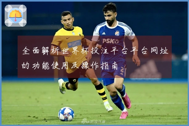 全面解析世界杯投注平台平台网址的功能使用及操作指南