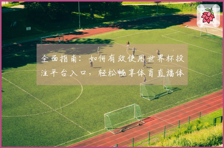 全面指南：如何有效使用世界杯投注平台入口，轻松畅享体育直播体验