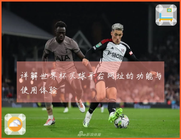详解世界杯买球平台网址的功能与使用体验