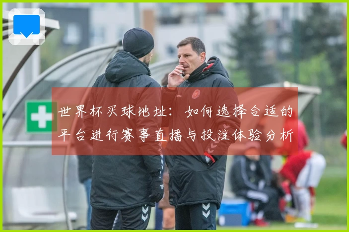 世界杯买球地址:如何选择合适的平台进行赛事直播与投注体验分析
