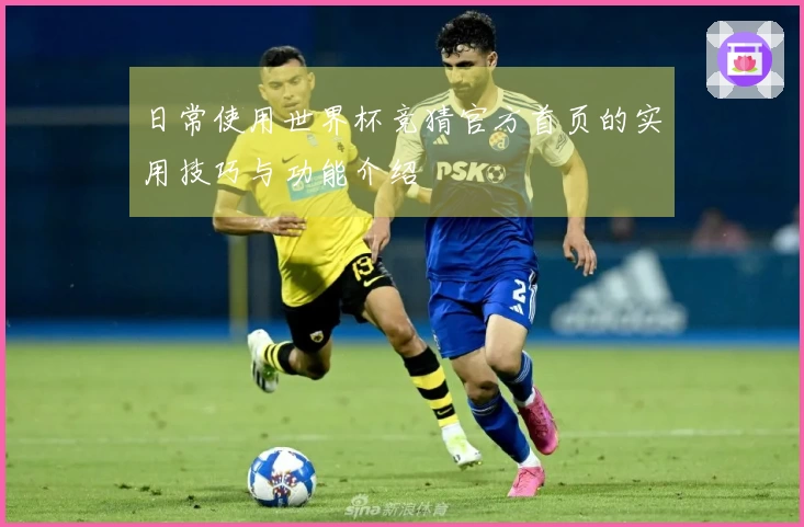 日常使用世界杯竞猜官方首页的实用技巧与功能介绍