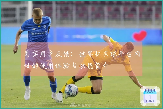 真实用户反馈：世界杯买球平台网址的使用体验与功能简介