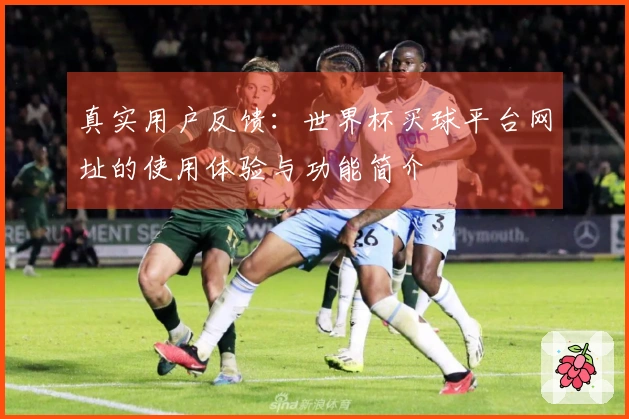真实用户反馈：世界杯买球平台网址的使用体验与功能简介