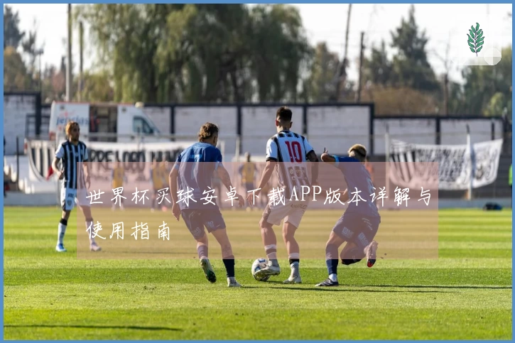世界杯买球安卓下载APP版本详解与使用指南