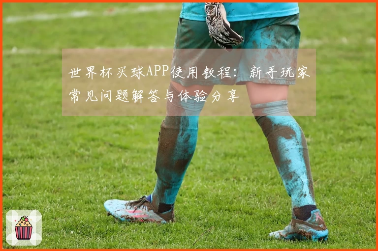 世界杯买球APP使用教程：新手玩家常见问题解答与体验分享